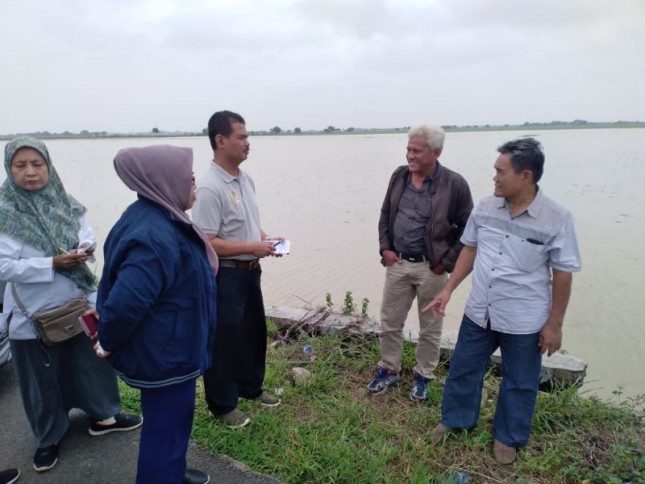 Dirjen Tanaman Pangan Suwandi saat tinjau banjir di Indramayu