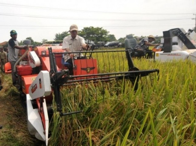 Petani sedang menggunakan alat mesin pertanian di sawah