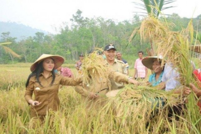 Bupati Landak Karolin Margret Natasa kiri bersama petani panen padi
