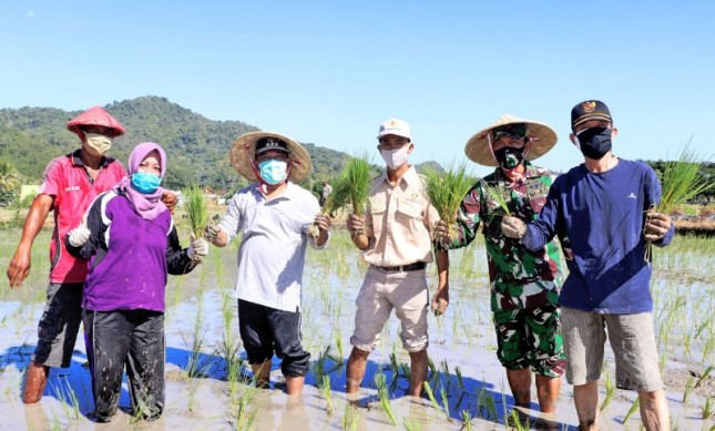 Petani lakukan tanam serentak