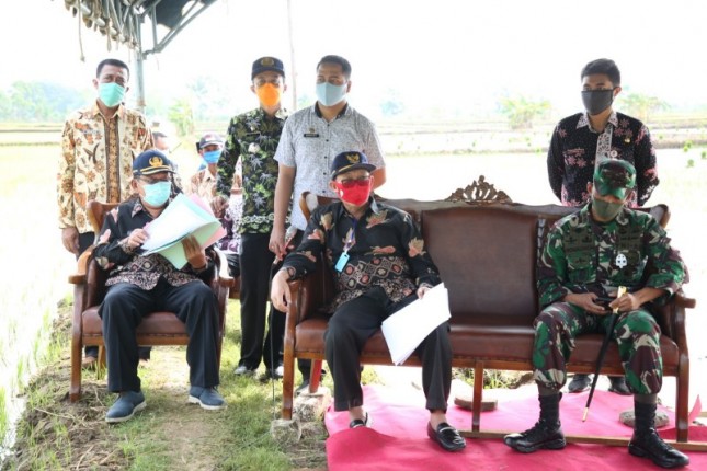 Bupati Tuban Fathul Huda dan didampingi oleh Dandim 0811 Tuban serta Kepala Dinas Pertanian dan Ketahanan Kabupaten Tuban