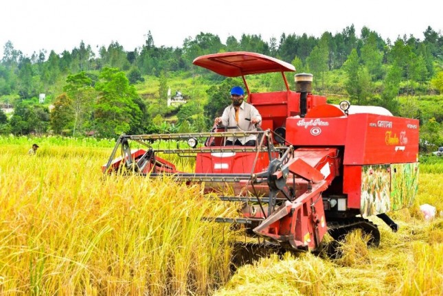 Petani memanen padi dengan alat mesin