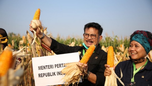 Menteri Pertanian Syahrul Yasin Limpo panen jagung di Kendal (Doc: Kementan)