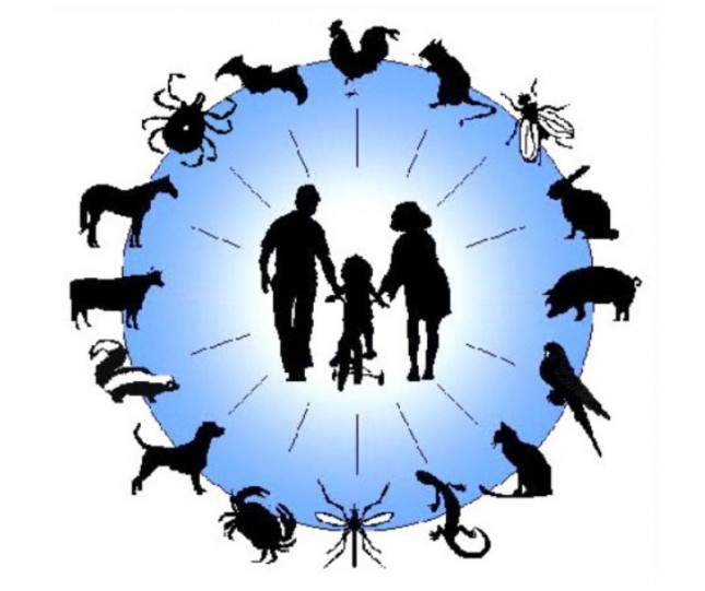 Ilustrasi zoonosis (Doc: Kementan)