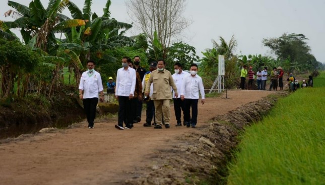 Presiden Jokowi Tinjau Lahan Food Estate Kalteng
