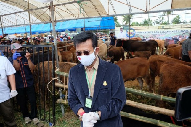 Menteri Pertanian Syahrul Yasin Limpo saat tinjau peternakan sapi (Doc: Kementan)