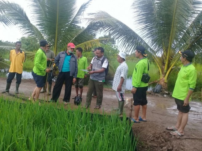 Pertanian Kalimantan barat
