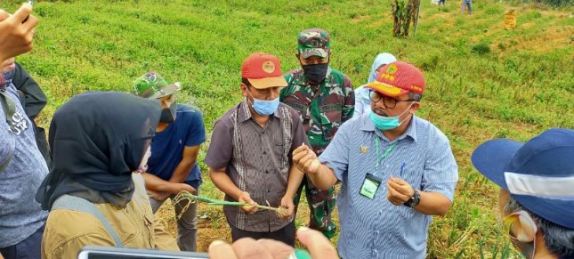 Direktur Jenderal Hortikultura, Prihasto Setyanto, saat ke sentra tanaman sayuran (Doc: Kementan)