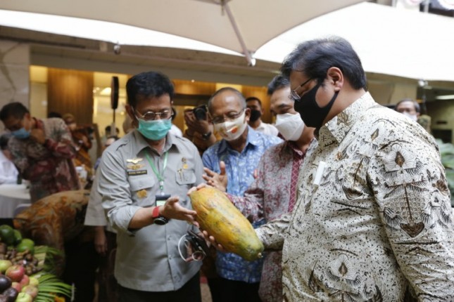 Menteri Pertanian Syahrul Yasin Limpo melihat buah paya (Doc: Kementan)