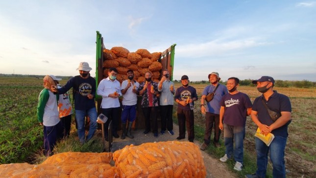 Petani jagung yang siap mengekspor ke luar negeri