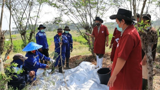 Tim Dit Pakan Ditjen PKH mengecek kelayakan kebun di Lokasi BBIB Singosari, Malang