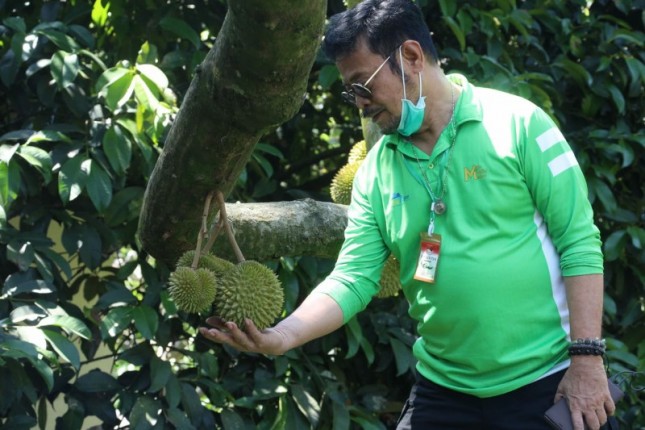 Menteri Pertanian saat berkunjung ke perkebunan Durian