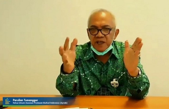Ketua Umum Asosiasi Produsen Biofuel Indonesia (APROBI), Parulian Tumanggor