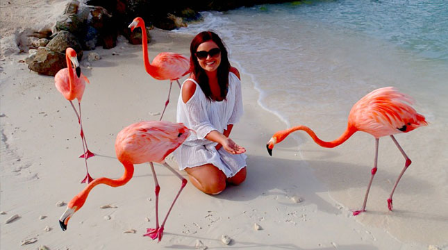 Pantai Flamingo, Pulau Renaissance di Aruba (Foto: Pinterest)