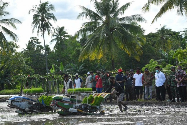 Menteri Pertanian Syahrul Yasin Limpo menyaksikan penanaman padi