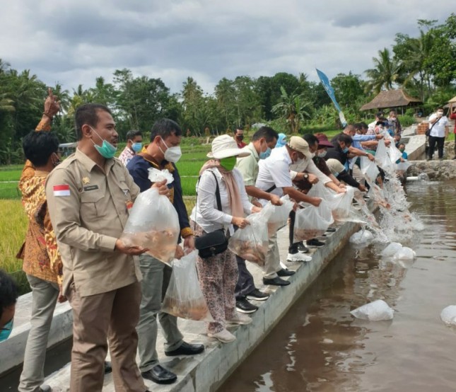 Dirjen Tanaman Pangan Suwandi bersama Komisi IV giat melepas ikan di dekat persawahan