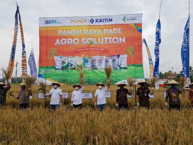 Pupuk Indonesia Terus Perluas Program Agro Solution 