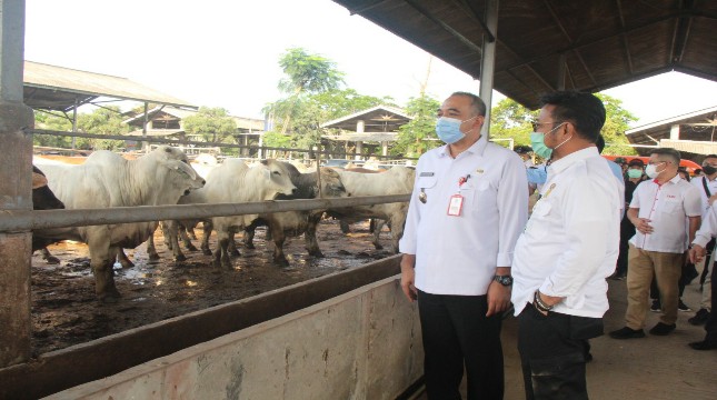 Menteri Pertanian Syahrul Yasin berada di peternakan sapi