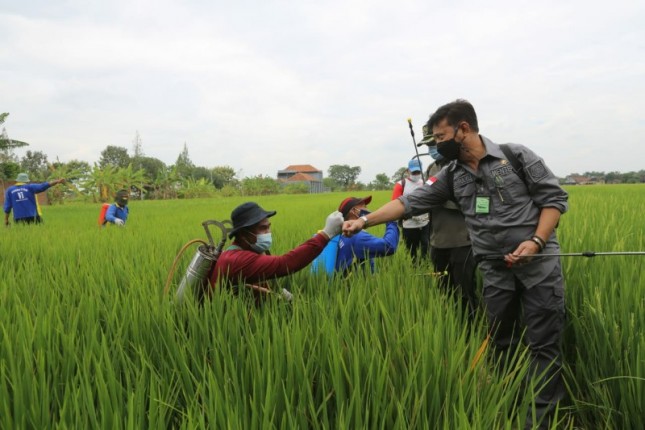 Menteri Pertanian Syahrul Yasin Limpo saat di sawah