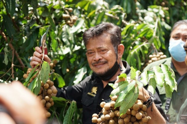 Menteri Pertanian Syahrul Yasin Limpo memegang kelengkeng