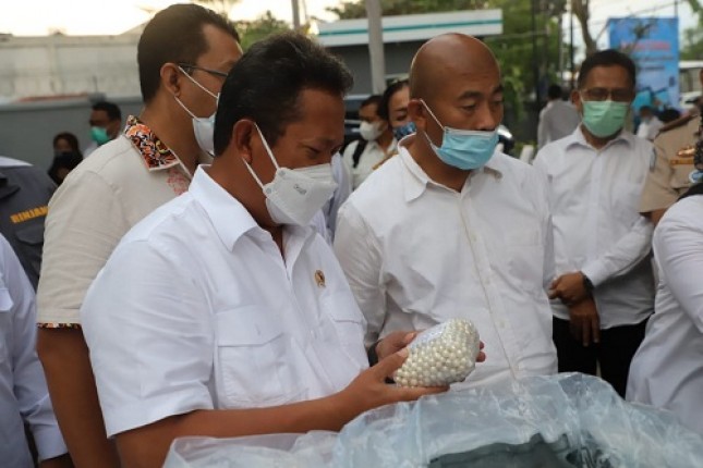 KKP Lepas Ekspor 6.304 Butir Biji Mutiara dari Lombok ke Tiongkok