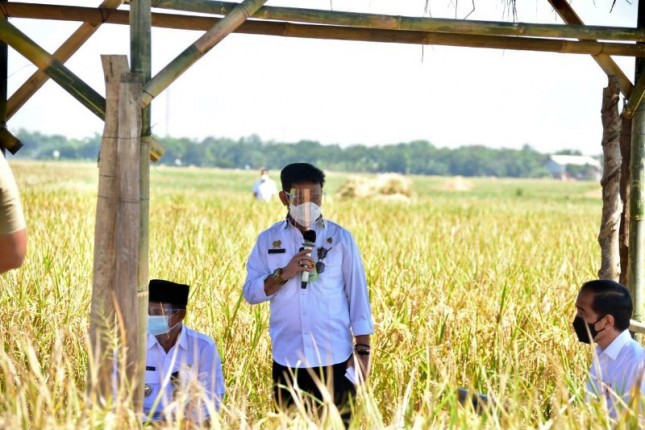 Menteri Pertanian Syahrul Yasin Limpo bersama Presiden di Indramayu