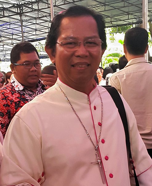 Mantan Uskup Agung Merauke (2004-2020) Mgr. Nicolaus Adi Seputra, MSC (Foto: istimewa)