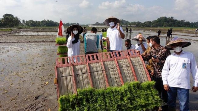  Bupati Banyuwangi Ipuk Fiestiandani dan Direktur Transformasi Bisnis Pupuk Indonesia Panji Winanteya Ruki saat tanam perdana Agro Solution di Banyuwangi