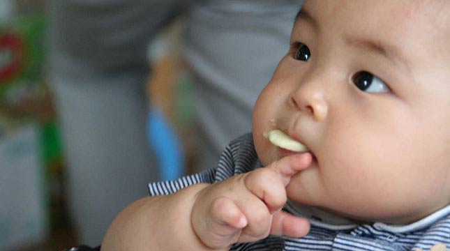 Ilustrasi Snacking Pada Bayi