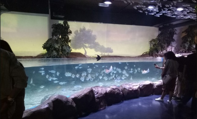 Jakarta Aquarium & Safari di Neo Soho, Jakarta Barat (Industry.co.id/Chodijah Febriyani)