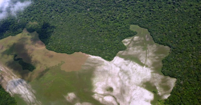 Taman Nasional Salonga di Republik Demokratik Kongo (DRC) (Foto: UNESCO)