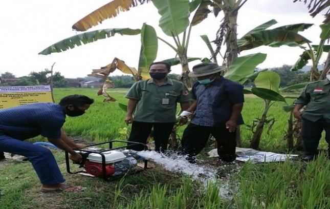 Petani menyalakan mesin pompa air untuk pengairan sawah
