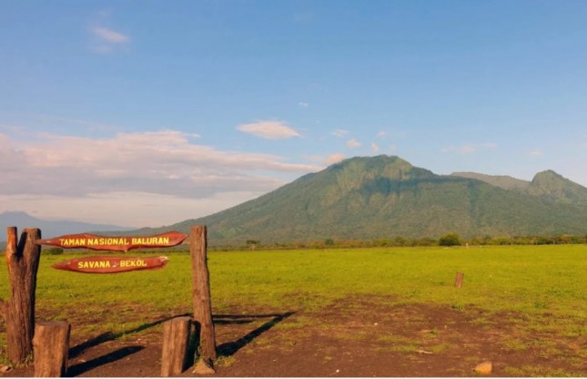 Taman Nasional Baluran, Situbondo, Jawa Timur (Ist)