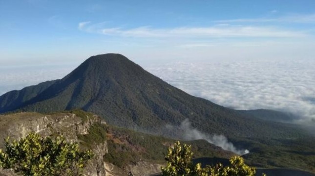 Taman Nasional Gunung Gede Pangrango (Dok: Gmap/Abhi Supryandi)