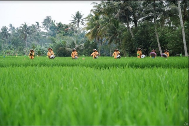 Wisata Edukasi Desa Wisata Cisande, Kabupaten Sukabumi, Jawa Barat (Dok: Kemenparekraf)
