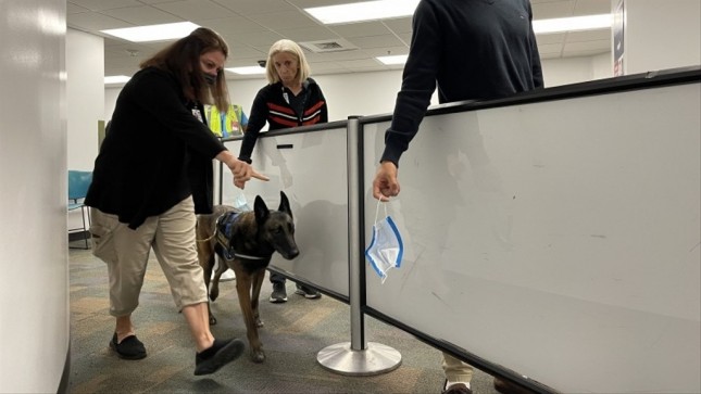 Anjing Pendeteksi Covid-19 di Bandara Internasional Miami (MIA), Amerika Serikat