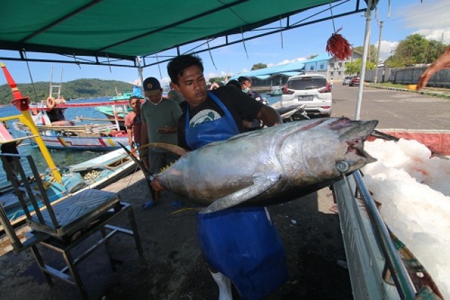 Udang, Cumi hingga Olahan Ikan, Ini Produk Indonesia yang Diburu di Singapura 