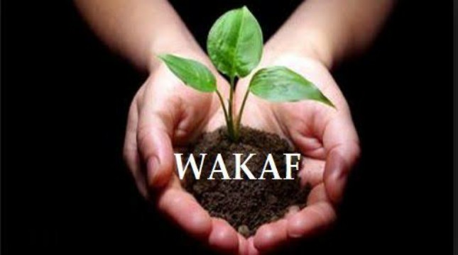 Ilustrasi Wakaf