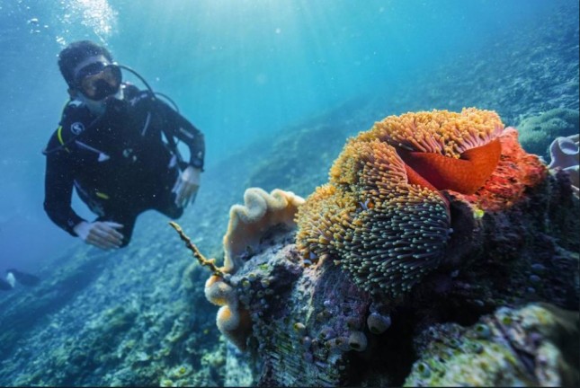 Menteri Pariwisata dan Ekonomi Kreatif Sandiaga Salahuddin Uno Saat Menyelam di Lokasi Wisata Bawah Laut Terbaik di Dunia yaitu di Sawandarek, Raja Ampat, di Papua Barat (Dok: Kemenparekraf)