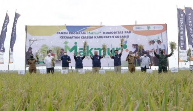 Program Makmur Pupuk Indoesia Tingkatkan Produksi Petani 44 Persen
