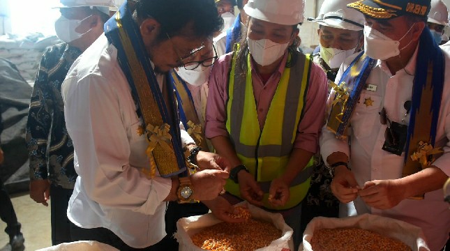 Menteri Pertanian Syahrul Yasin Limpo menyaksikan pakan ternak di dalam karung
