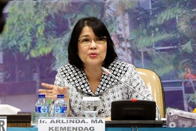 Direktur Jenderal Pengembangan Ekspor Nasional (PEN) Kemendag, Arlinda (Foto Antaranews)