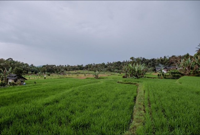 Desa Cisaat di Kabupaten Subang, Jawa Barat (Foto: Kemenparekraf)