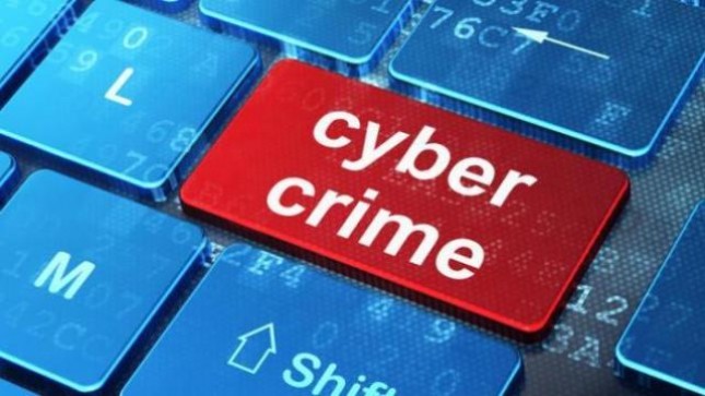 Ilustrasi Cyber Crime (Foto Ist)