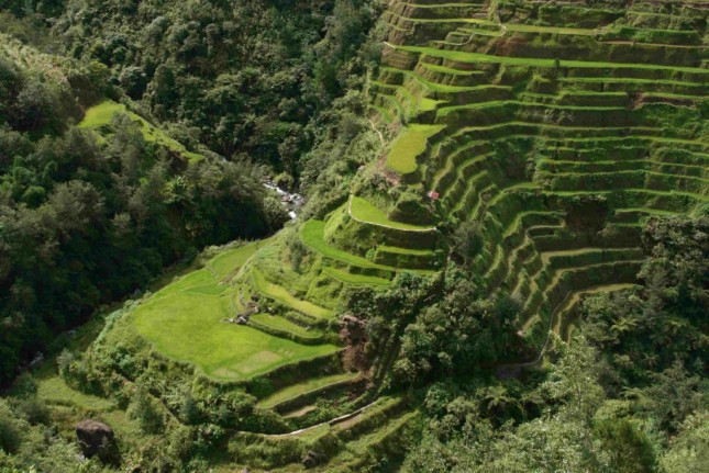 Benaue Rice Terrace, Sawah Terasering di Filipina (wikimedia)