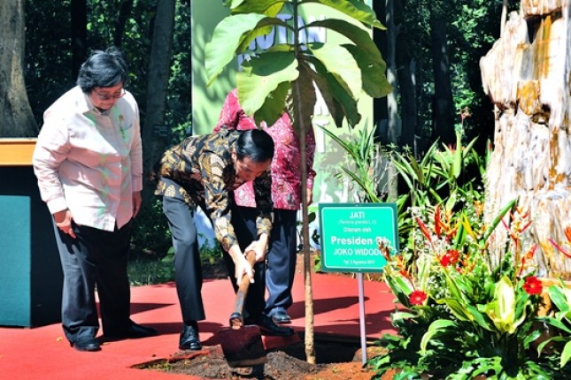 Presiden Jokowi Minta Ada Trobosan Pengelolaan Hutan (Foto Setkab)