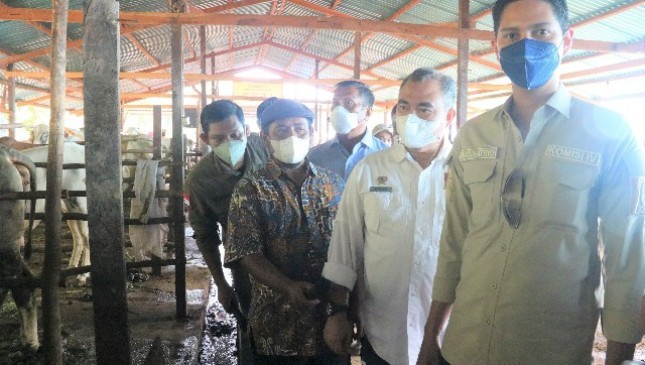 Dirjen Peternakan dan Kesehatan Hewan Kementan Nasrullah saat meninjau Peternakan Sapi 