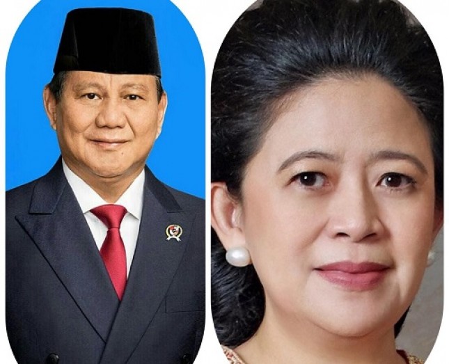 pasangan Prabowo - Puan mendapat dukungan sebanyak 41 persen