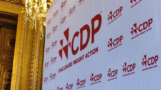 CDP Disclosure Insight Action 