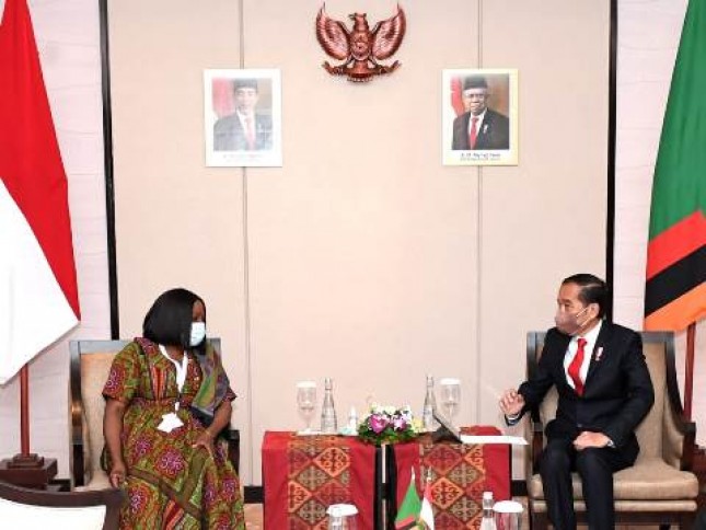 Presiden Jokowi dan Wakil Presiden Zambia 